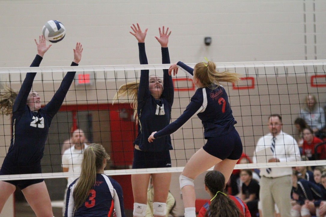 York vs. Platteview volleyball 7.jpeg